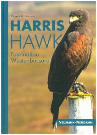 Carte Harris Hawk Claas Niehues