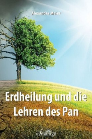 Könyv Erdheilung und die Lehren des Pan Alexandra Meier