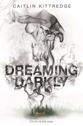 Kniha Dreaming Darkly Caitlin Kittredge