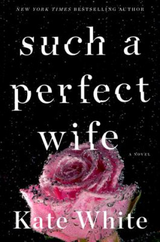 Livre Such a Perfect Wife Kate White