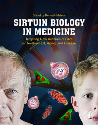 Kniha Sirtuin Biology in Medicine Kenneth Maiese