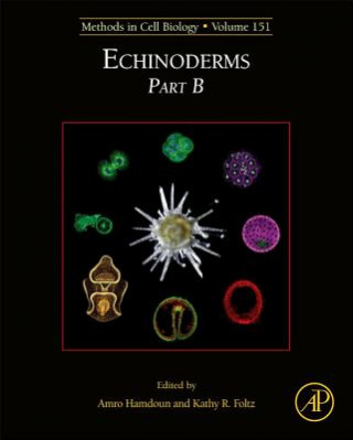 Knjiga Echinoderms Part B Amro Hamdoun