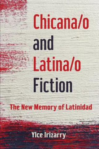 Könyv Chicana/o and Latina/o Fiction Ylce Irizarry