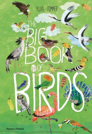 Kniha Big Book of Birds Yuval Zommer