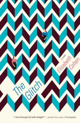 Kniha Glitch Elisabeth Cohen