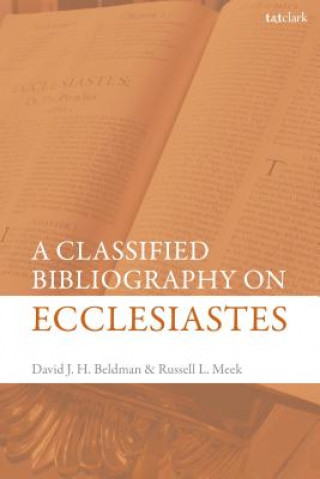 Könyv Classified Bibliography on Ecclesiastes David Beldman
