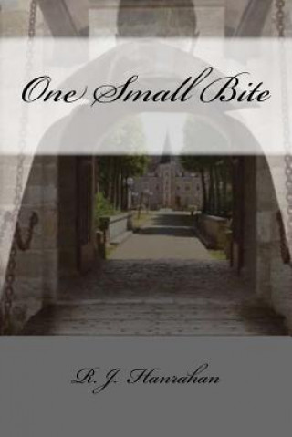 Knjiga One Small Bite R J Hanrahan