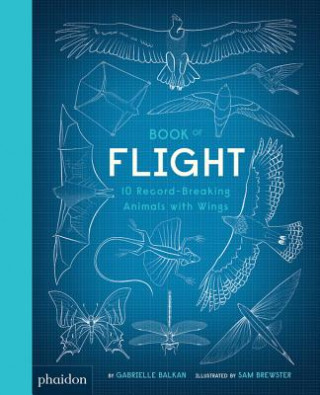 Kniha Book of Flight: 10 Record-Breaking Animals with Wings Gabrielle Balkan