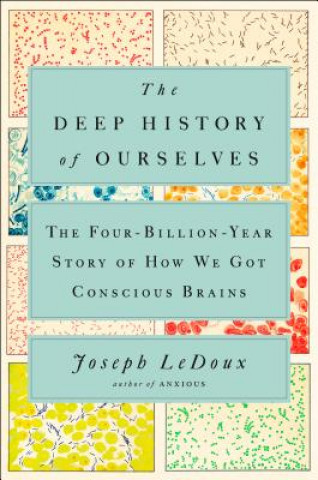 Könyv Deep History Of Ourselves Joseph Ledoux