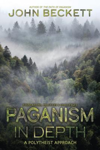 Kniha Paganism In Depth John Beckett