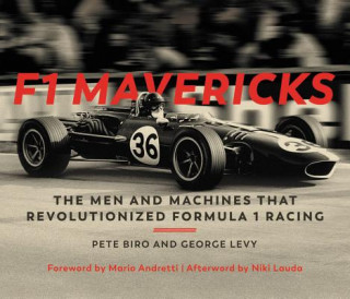 Könyv F1 Mavericks Pete Biro