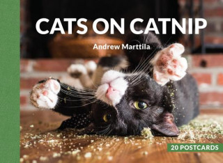 Книга Cats on Catnip: 20 Postcards Andrew Marttila