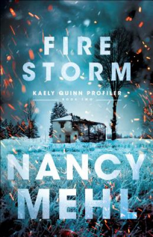 Book Fire Storm Nancy Mehl