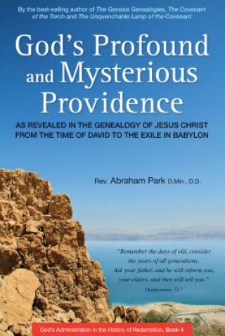 Libro God's Profound and Mysterious Providence Abraham Park