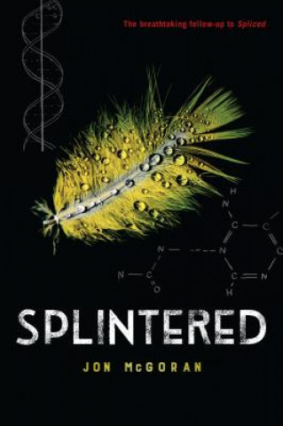 Kniha Splintered Jon Mcgoran