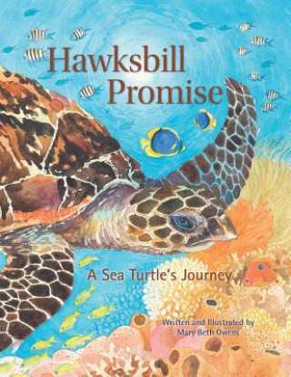 Książka Hawksbill Promise Mary Beth Owens