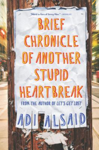 Kniha Brief Chronicle of Another Stupid Heartbreak Adi Alsaid