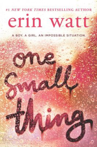 Kniha One Small Thing Erin Watt
