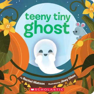 Buch Teeny Tiny Ghost Rachel Matson