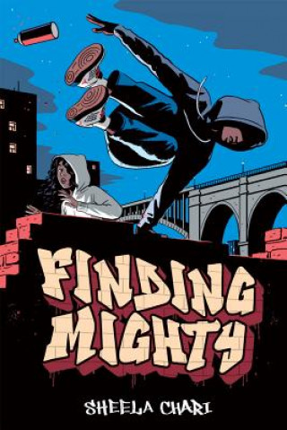 Knjiga Finding Mighty Sheela Chari