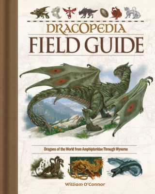 Kniha Dracopedia Field Guide William O'Connor