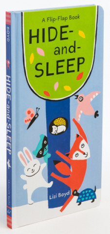 Kniha Hide-and-Sleep Lizi Boyd