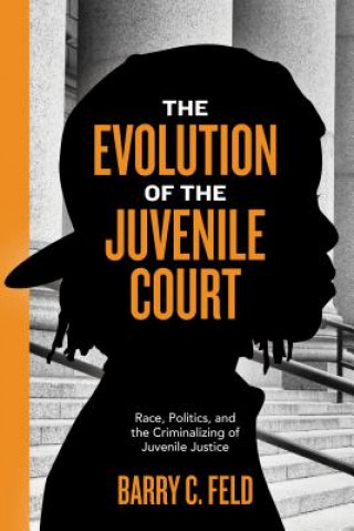 Kniha Evolution of the Juvenile Court Barry C. Feld