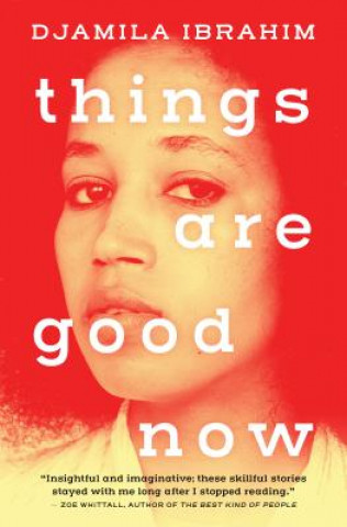 Knjiga Things Are Good Now Djamila Ibrahim