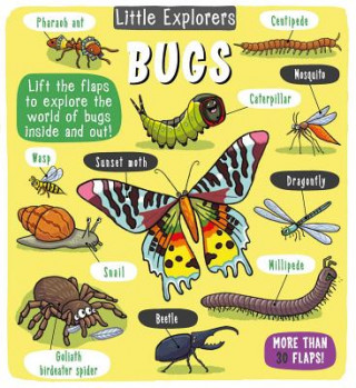 Könyv Little Explorers: Bugs Little Bee Books