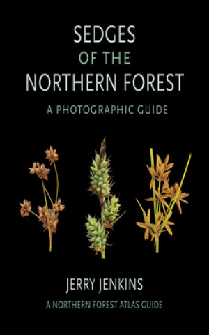 Книга Sedges of the Northern Forest Jerry Jenkins