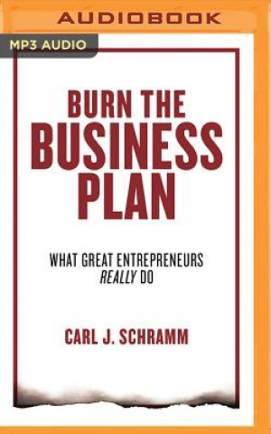 Digital BURN THE BUSINESS PLAN Carl J. Schramm