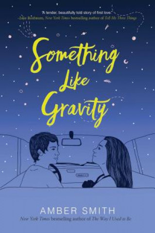 Книга Something Like Gravity Amber Smith