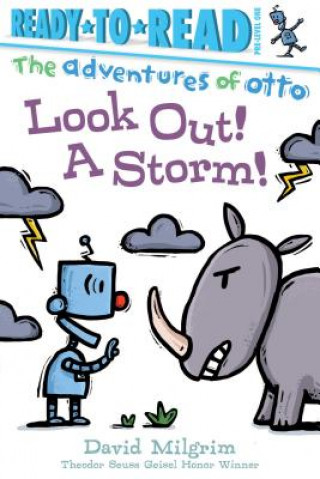 Buch Look Out! a Storm!: Ready-To-Read Pre-Level 1 David Milgrim
