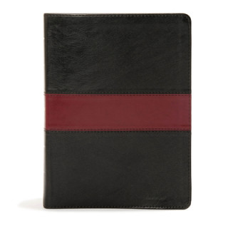 Könyv KJV Apologetics Study Bible, Black/Red Leathertouch Indexed Csb Bibles By Holman