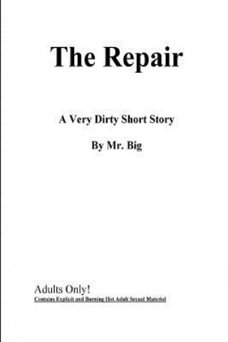 Kniha The Repair MR Big