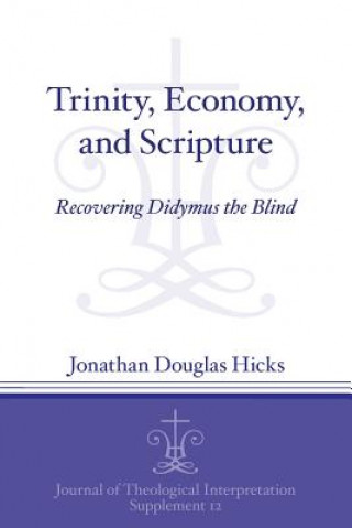 Książka Trinity, Economy, and Scripture Jonathan Douglas Hicks