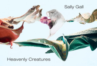 Kniha Heavenly Creatures Sally Gall