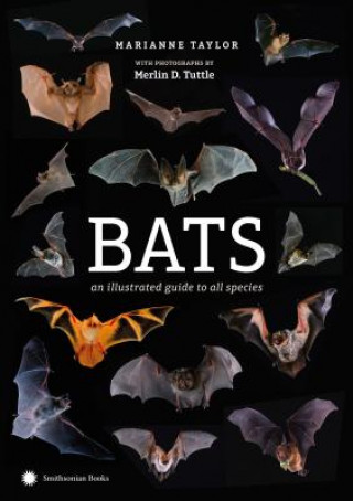 Carte Bats: An Illustrated Guide to All Species Marianne Taylor