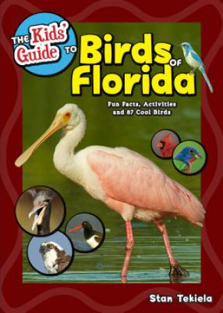 Kniha Kids' Guide to Birds of Florida Stan Tekiela