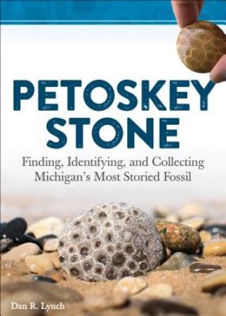 Kniha Petoskey Stone Dan R. Lynch