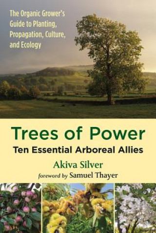 Kniha Trees of Power Akiva Silver