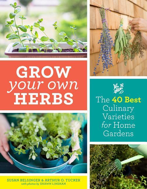 Carte Grow Your Own Herbs: The 40 Best Culinary Varieties for Home Gardens Susan Belsinger