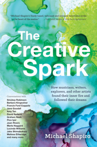 Kniha Creative Spark Michael Shapiro