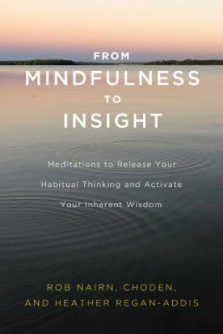 Książka From Mindfulness to Insight Rob Nairn