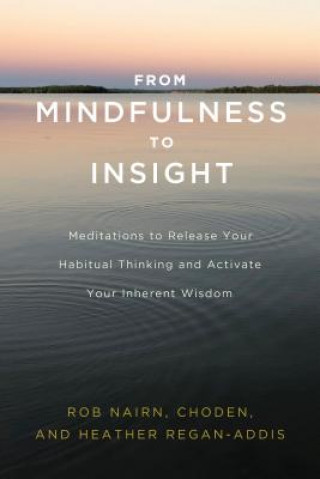 Βιβλίο From Mindfulness to Insight Rob Nairn