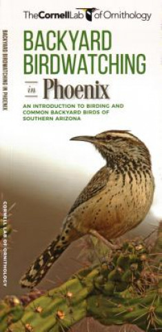 Carte Backyard Birdwatching in Phoenix: An Introduction to Birding and Common Backyard Birds of Southern Arizona The