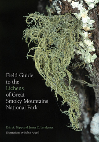 Könyv Field Guide to the Lichens of Great Smoky Mountains National Park Erin Tripp