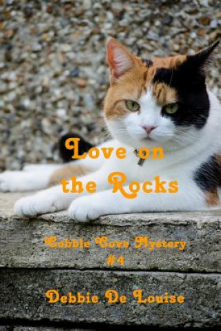 Livre Love on the Rocks Debbie De Louise