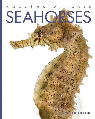 Buch Seahorses Valerie Bodden