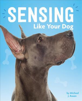 Buch Sensing Like Your Dog Michael J. Rosen